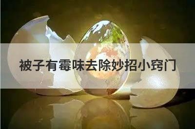 被子有霉味去除妙招小窍门
