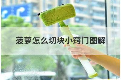 菠萝怎么切块小窍门图解