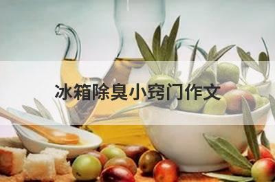 冰箱除臭小窍门作文