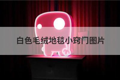 白色毛绒地毯小窍门图片(白色毛绒地毯如何清洗)