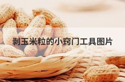 剥玉米粒的小窍门工具图片