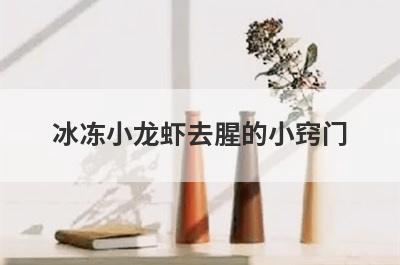 冰冻小龙虾去腥的小窍门
