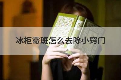 冰柜霉斑怎么去除小窍门