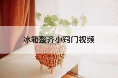 冰箱整齐小窍门视频