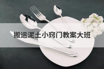 搬运泥土小窍门教案大班