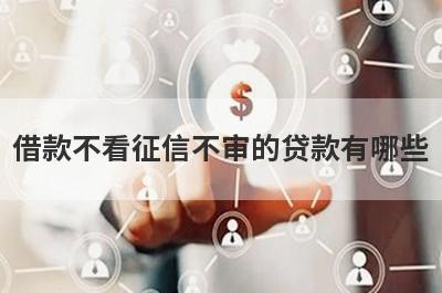 借款不看征信不审的贷款有哪些？盘点5个不查征信直接通过的小额贷款