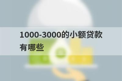 1000-3000的小额贷款有哪些?借钱小额1000-3000马上到账的平台