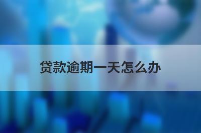 贷款逾期一天怎么办?贷款逾期一天的补救方法