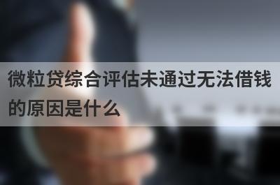 微粒贷综合评估未通过无法借钱
的原因是什么

