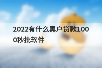 2022有什么黑户贷款100
0秒批软件
