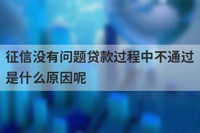 征信没有问题贷款过程中不通过
是什么原因呢
