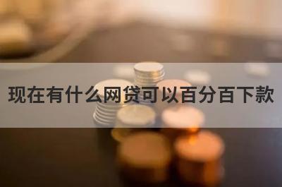 现在有什么网贷可以百分百下款?盘点5个可以100%借钱的网贷平台