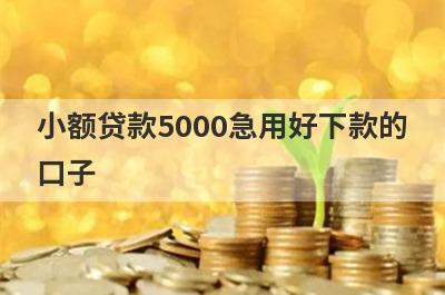 小额贷款5000急用好下款的口子 借款5000马上到账的借款口子