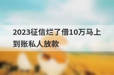 2023征信烂了借10万马上到账私人放款,5个征信不好也可以借钱的平台