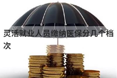 灵活就业人员缴纳医保分几个档次?一般有这几个档次