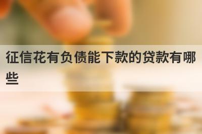 征信花有负债能下款的贷款有哪些?盘点5个不看征信和负债的贷款平台