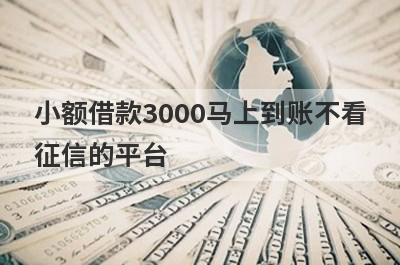 小额借款3000马上到账不看征信的平台,借款3000不用征信秒到账的平台