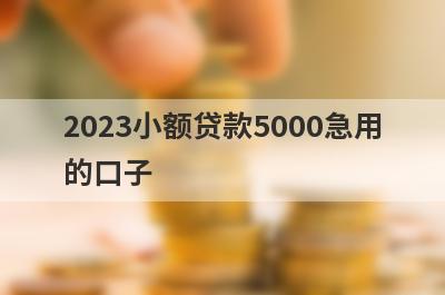 2023小额贷款5000急用的口子,盘点1000-5000好下款的小额口子