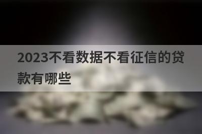 2023不看数据不看征信的贷款有哪些?无视征信大数据秒下款的口子
