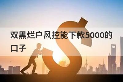 双黑烂户风控能下款5000的口子,盘点黑户烂户借5000秒下款的口子