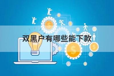 双黑户有哪些能下款?盘点5双黑户秒下款的网贷口子
