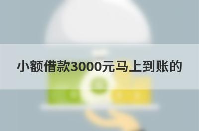 小额借款3000元马上到账的