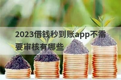 2023借钱秒到账app不需
要审核有哪些
