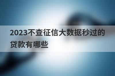 2023不查征信大数据秒过的
贷款有哪些
