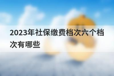 2023年社保缴费档次六个档
次有哪些
