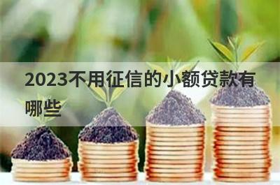 2023不用征信的小额贷款有
哪些
