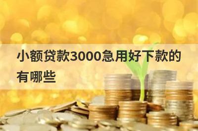小额贷款3000急用好下款的
有哪些
