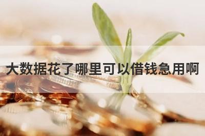 大数据花了哪里可以借钱急用啊
