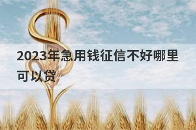 2023年急用钱征信不好哪里
可以贷
