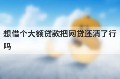 想借个大额贷款把网贷还清了行
吗
