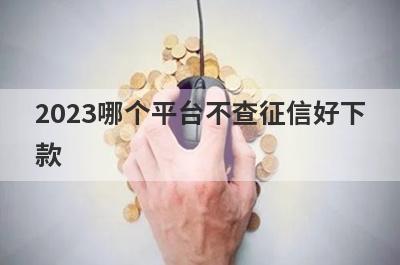 2023哪个平台不查征信好下
款
