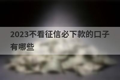 2023不看征信必下款的口子
有哪些
