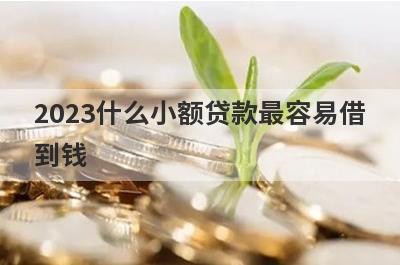 2023什么小额贷款最容易借
到钱

