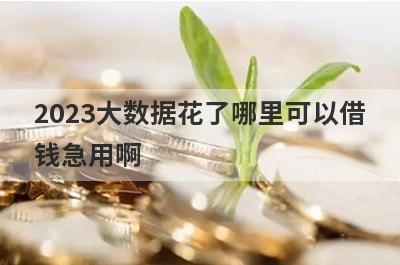 2023大数据花了哪里可以借
钱急用啊
