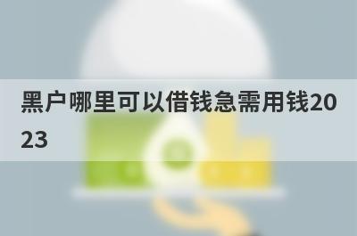 黑户哪里可以借钱急需用钱20
23
