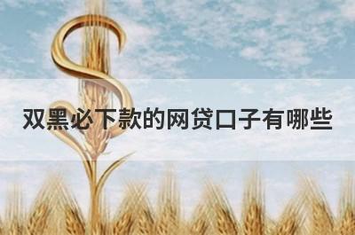双黑必下款的网贷口子有哪些