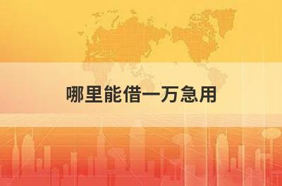 哪里能借一万急用