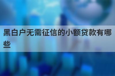 黑白户无需征信的小额贷款有哪
些
