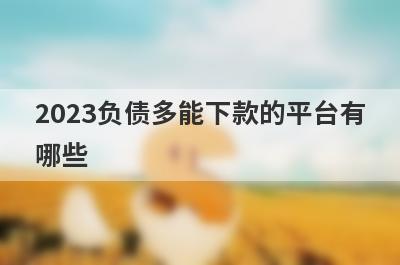 2023负债多能下款的平台有
哪些
