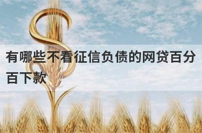 有哪些不看征信负债的网贷百分
百下款
