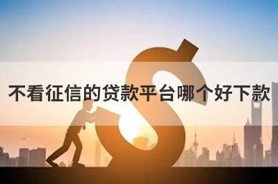不看征信的贷款平台哪个好下款