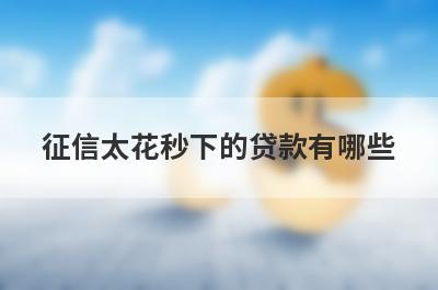 征信太花秒下的贷款有哪些
