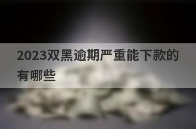 2023双黑逾期严重能下款的
有哪些
