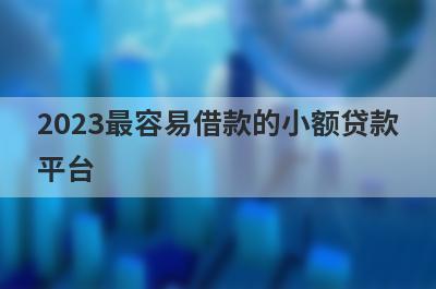 2023最容易借款的小额贷款
平台

