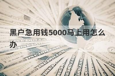 黑户急用钱5000马上用怎么
办
