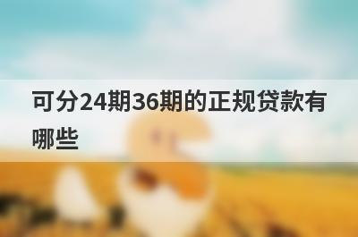 可分24期36期的正规贷款有
哪些
